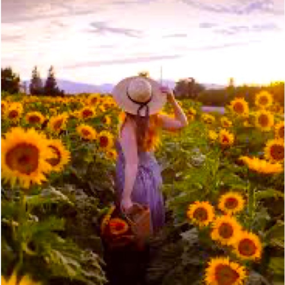 Meet your Posher, Callie